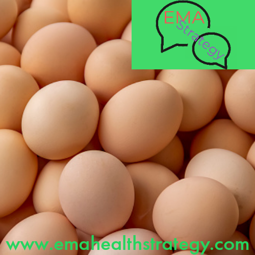 what-makes-eggs-vital-for-a-healthy-lifestyle-018628500-1725452983.png