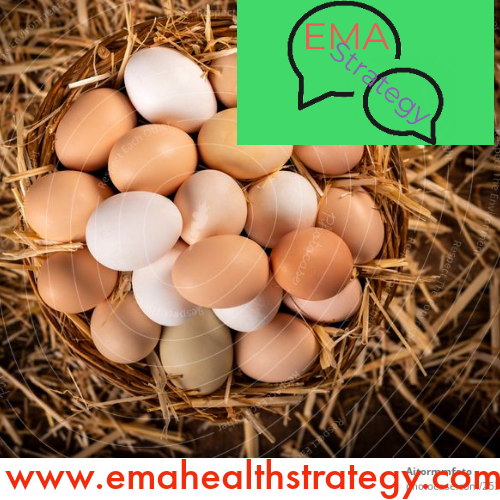 what-makes-eggs-vital-for-a-healthy-lifestyle-054709600-1725452983.png