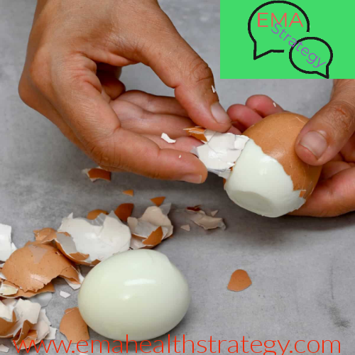 what-makes-eggs-vital-for-a-healthy-lifestyle-091161700-1725453266.png